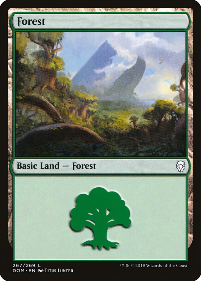 Forest (267) [Dominaria] | Gate City Games LLC