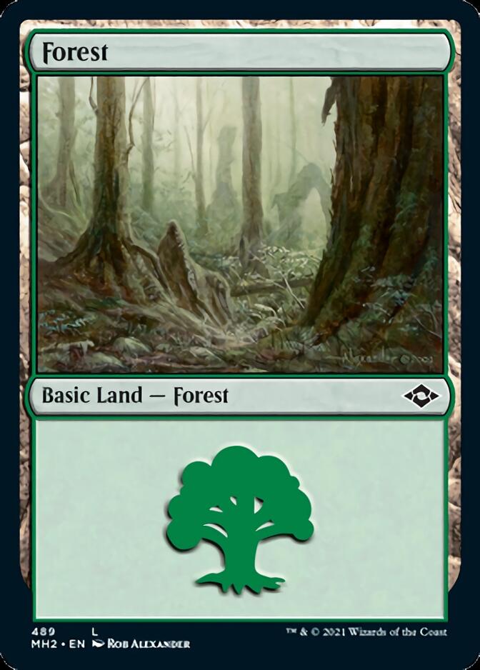 Forest (489) [Modern Horizons 2] | Gate City Games LLC