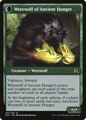 Sage of Ancient Lore // Werewolf of Ancient Hunger [Shadows over Innistrad] | Gate City Games LLC