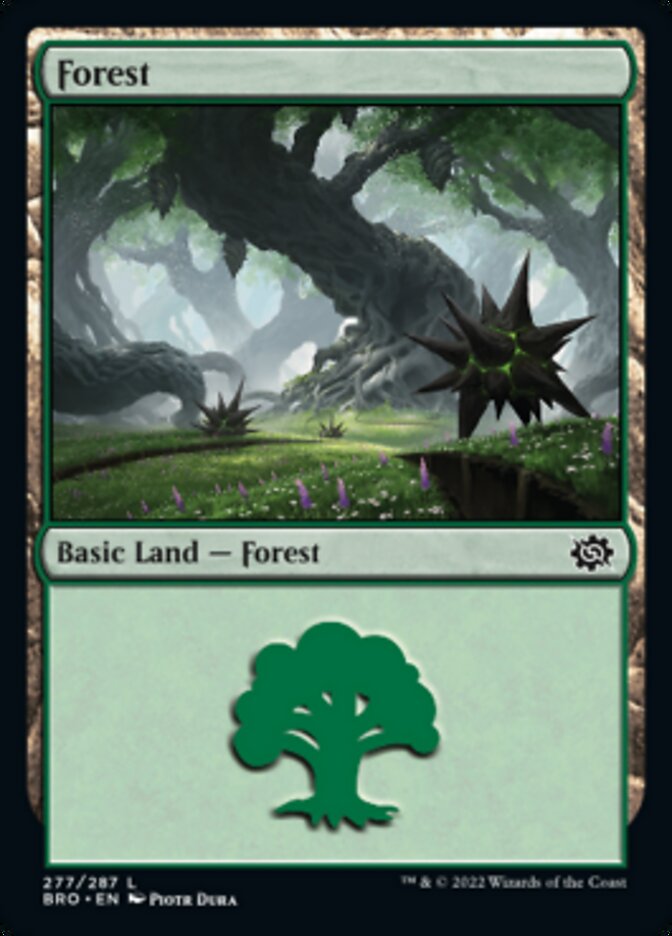 Forest (277) [The Brothers' War] | Gate City Games LLC