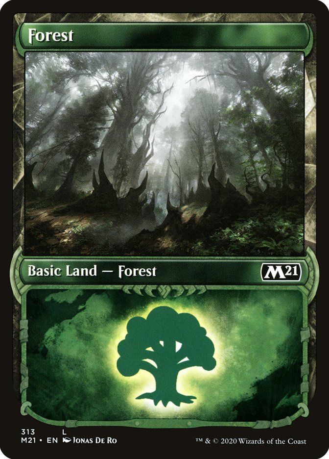 Forest (313) (Showcase) [Core Set 2021] | Gate City Games LLC