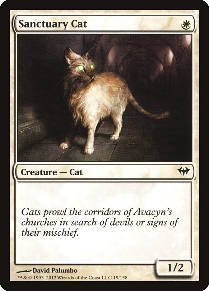 Sanctuary Cat [Dark Ascension] | Gate City Games LLC