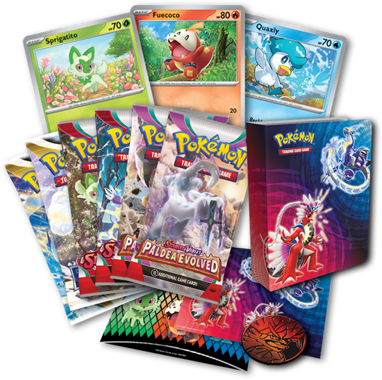 Pokemon Trading Card Game Collector Chest (Fall 2023) | Gate City Games LLC