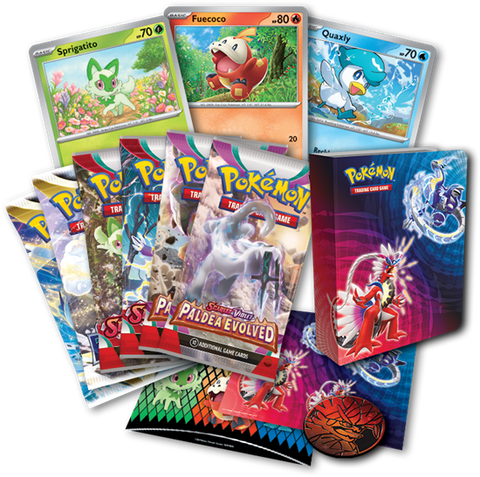 pokémon trading card game collector chest fall 2023 Pokemon Trading Card Game Collector Chest (Fall 2023) – Gate City Games LLC