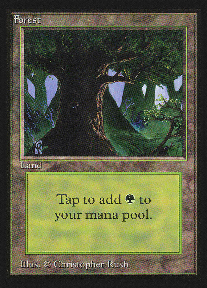 Forest (Eyes in Tree) [International Collectors' Edition] | Gate City Games LLC