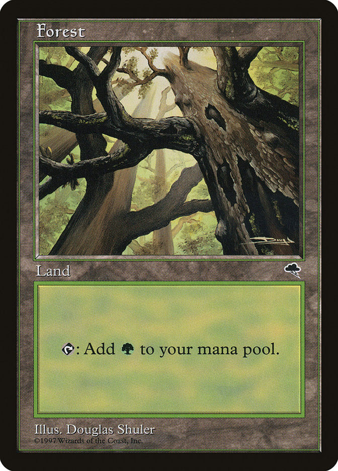 Forest (Looking from Below) [Tempest] | Gate City Games LLC