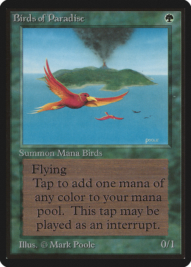 Birds of Paradise [Beta Edition] | Gate City Games LLC