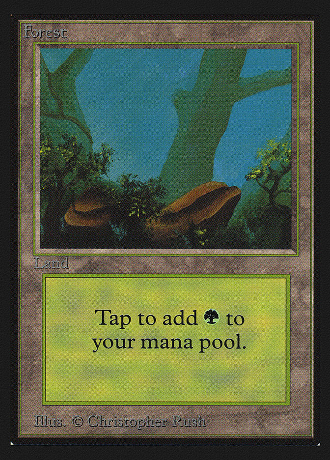 Forest (Two Stones) [International Collectors' Edition] | Gate City Games LLC