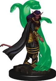 Icons of the Realms: Tiefling Female Sorcerer | Gate City Games LLC