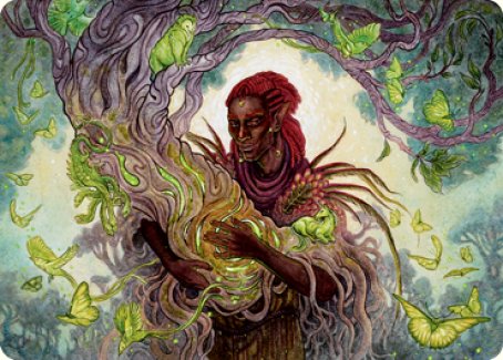 Circle of Dreams Druid Art Card [Dungeons & Dragons: Adventures in the Forgotten Realms Art Series] | Gate City Games LLC