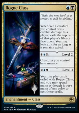 Rogue Class (Promo Pack) [Dungeons & Dragons: Adventures in the Forgotten Realms Promos] | Gate City Games LLC