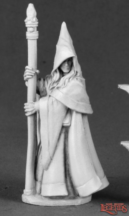 ANIRION, WOOD ELF WIZARD | Gate City Games LLC