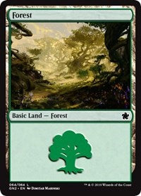 Forest (64) [Magic Game Night 2019] | Gate City Games LLC