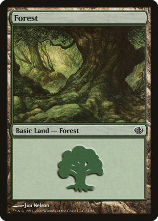 Forest (31) [Duel Decks: Garruk vs. Liliana] | Gate City Games LLC