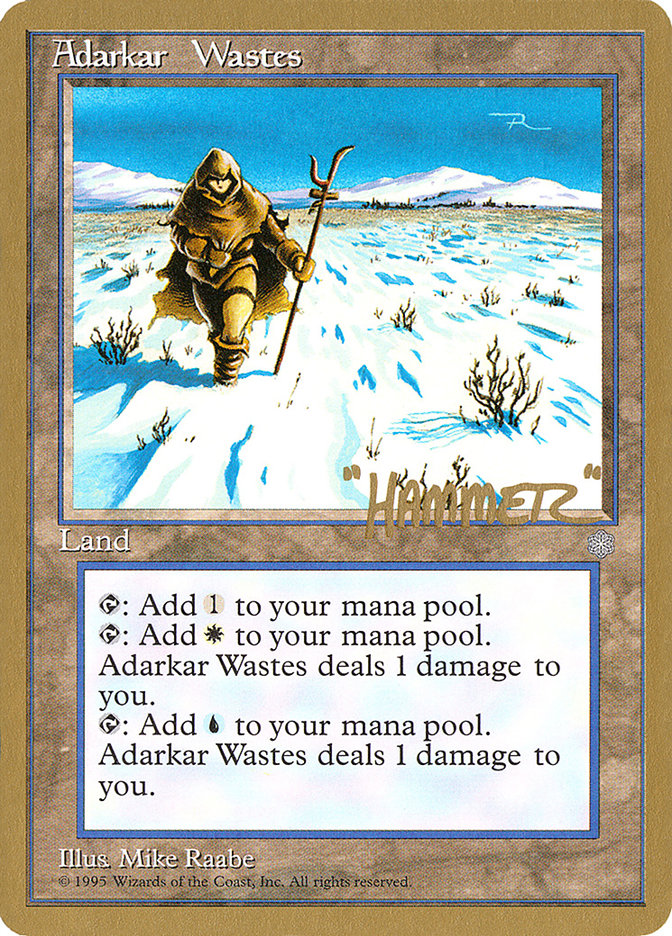 Adarkar Wastes (Shawn "Hammer" Regnier) [Pro Tour Collector Set] | Gate City Games LLC