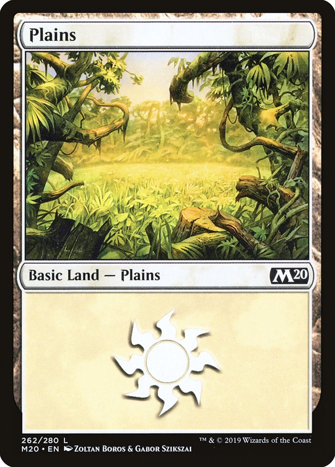 Plains (262) [Core Set 2020] | Gate City Games LLC