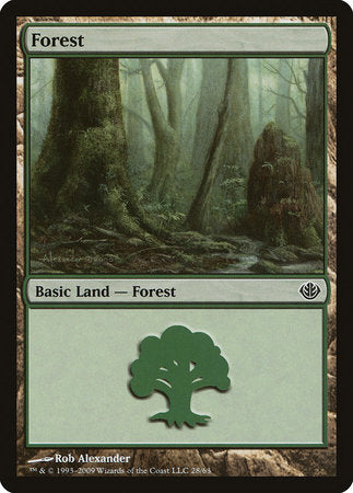 Forest (28) [Duel Decks: Garruk vs. Liliana] | Gate City Games LLC