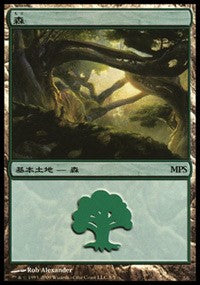 Forest - Zendikar Cycle [Magic Premiere Shop] | Gate City Games LLC