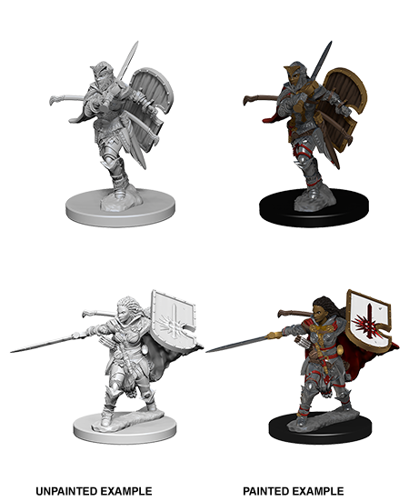 Pathfinder Deep Cuts Unpainted Minis: Human Female Paladin | Gate City Games LLC