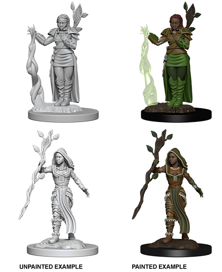 D&D Nolzur's Marvelous Miniatures: Human Druid | Gate City Games LLC