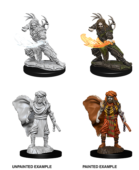 D&D Nolzur's Marvelous Miniatures: Human Druid | Gate City Games LLC