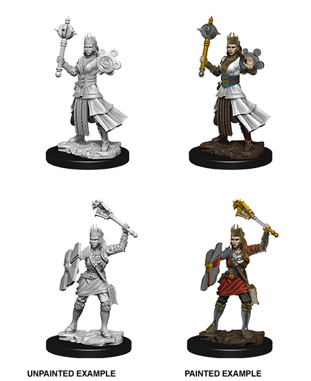 D&D Nolzur's Marvelous Miniatures: Human Cleric | Gate City Games LLC