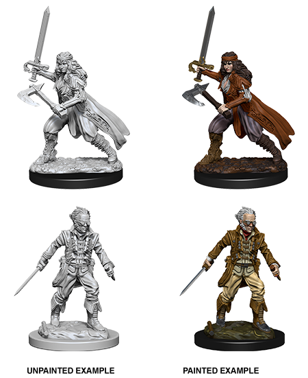 D&D Nolzur's Marvelous Miniatures: Vampire Hunters | Gate City Games LLC