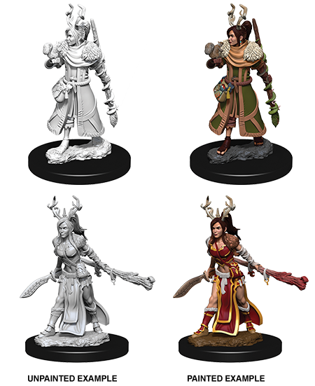 D&D Nolzur's Marvelous Miniatures: Human Druid | Gate City Games LLC