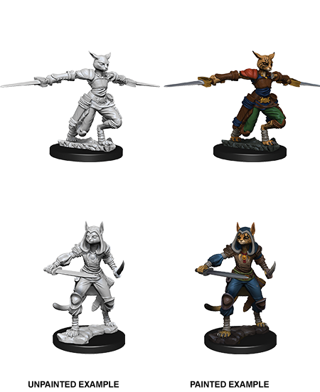 D&D Nolzur's Marvelous Miniatures: Tabaxi Rogue | Gate City Games LLC