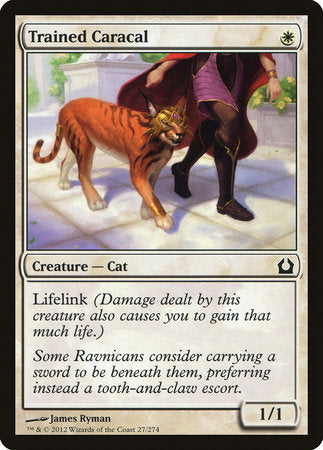 Trained Caracal [Return to Ravnica] | Gate City Games LLC