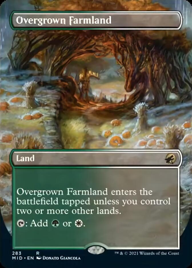 Overgrown Farmland (Borderless) [Innistrad: Midnight Hunt] | Gate City Games LLC