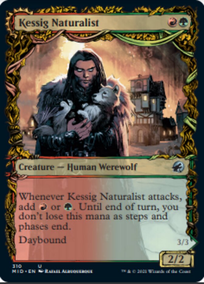 Kessig Naturalist // Lord of the Ulvenwald (Showcase Equinox) [Innistrad: Midnight Hunt] | Gate City Games LLC