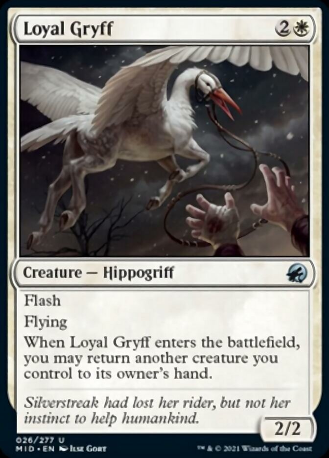 Loyal Gryff [Innistrad: Midnight Hunt] | Gate City Games LLC