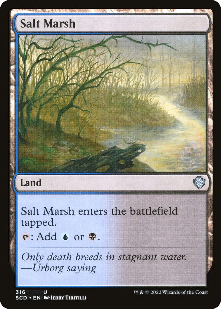 Salt Marsh [Starter Commander Decks] | Gate City Games LLC