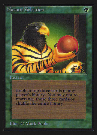 Natural Selection (IE) [Intl. Collectors’ Edition] | Gate City Games LLC