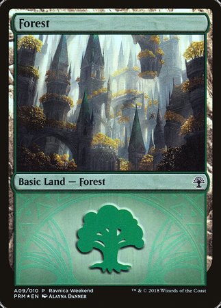 Forest - Selesnya (A09) [GRN Ravnica Weekend] | Gate City Games LLC