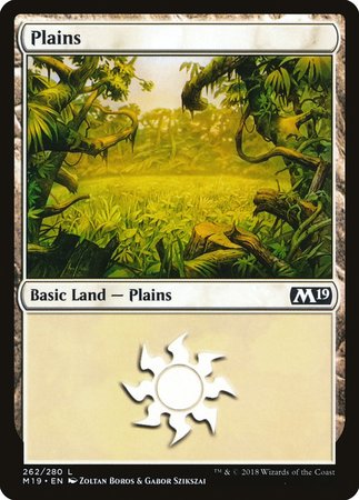 Plains (262) [Core Set 2019] | Gate City Games LLC