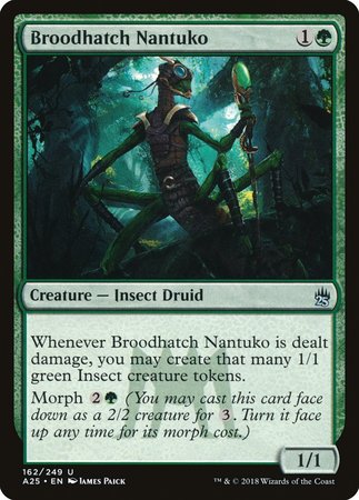 Broodhatch Nantuko [Masters 25] | Gate City Games LLC