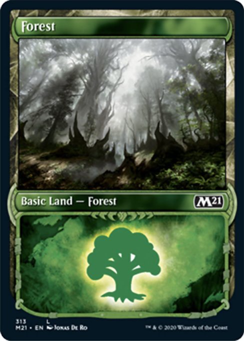 Forest (Showcase) [Core Set 2021] | Gate City Games LLC