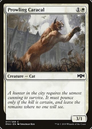 Prowling Caracal [Ravnica Allegiance] | Gate City Games LLC