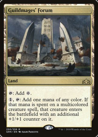 Guildmages' Forum [Guilds of Ravnica] | Gate City Games LLC