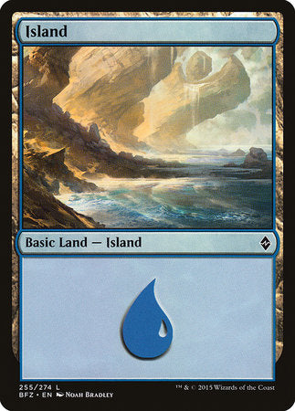 Island (255) [Battle for Zendikar] | Gate City Games LLC